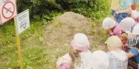 Лето на улице: играем с природой